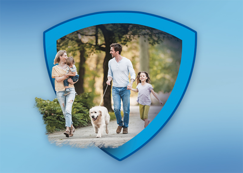 Liability insurance