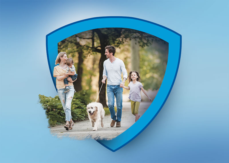 Liability insurance